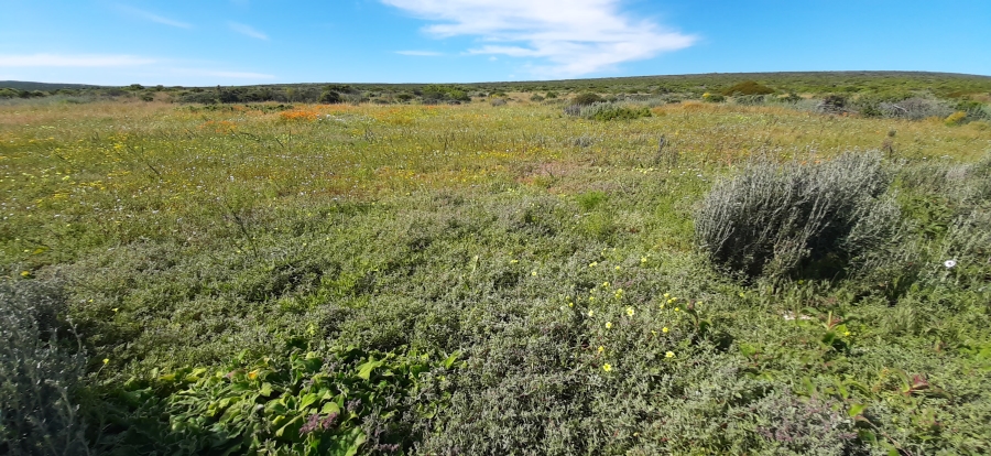 0 Bedroom Property for Sale in Jacobsbaai Western Cape